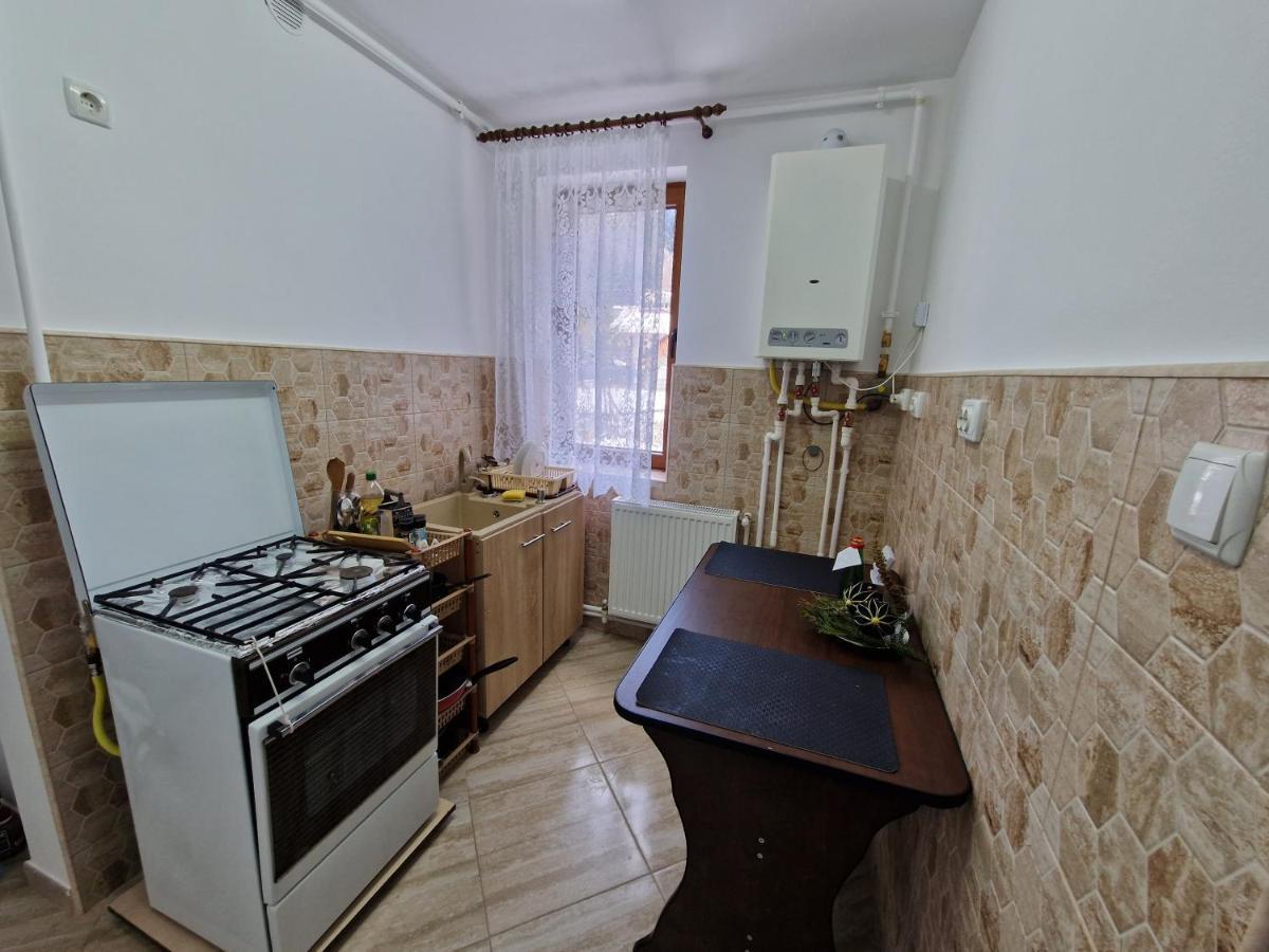 Apartamentul Florilor De Fan Azuga Exterior foto